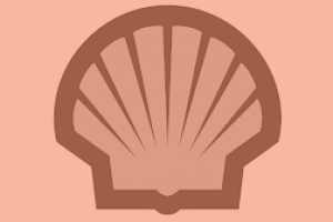 Shell Ordered to Cut Emissions - What does this mean? image